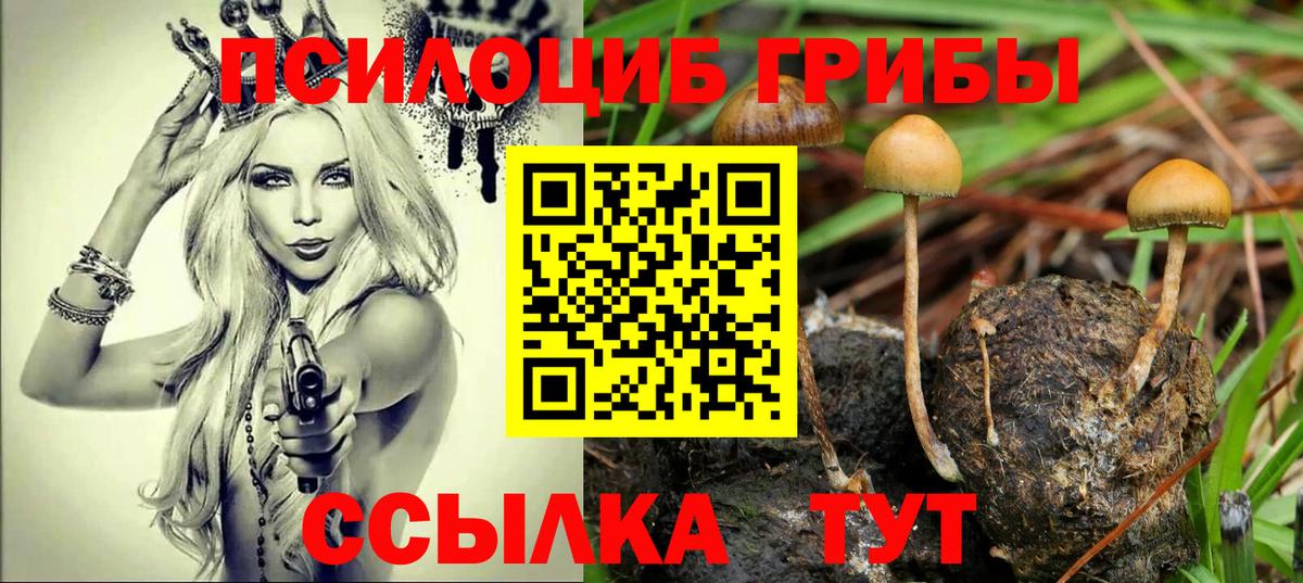 Псилоцибиновые грибы Psilocybe  Псилоцибиновые грибы ЛСД  Вход с VPN  Канаш 
